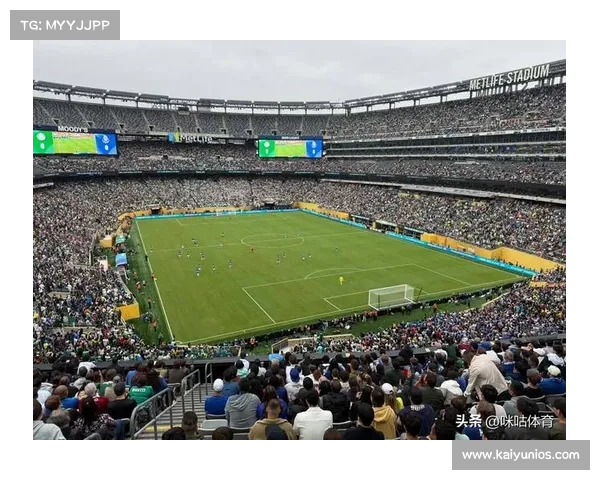 突尼斯甲级联赛比泽尔丁因主场草皮质量问题收到非足联警告